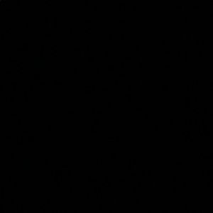 Meet your Posher, Kirby